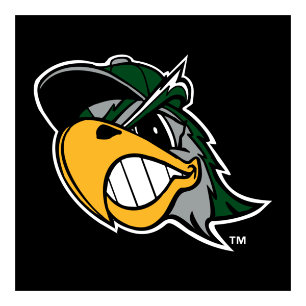 South Bend Silver Hawks Logo PNG Vector