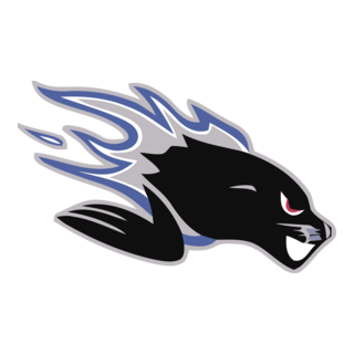 saint john seadogs Logo PNG Vector