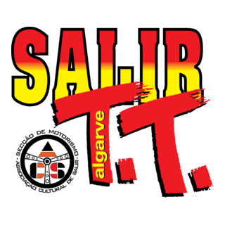 SalirTT Logo PNG Vector