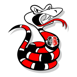 Santa Cruz Futebol Clube - Mascot Logo PNG Vector