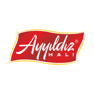SARAYLIZADE AYYILDIZ Logo PNG Vector
