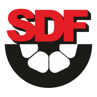 SD Flamengo Logo PNG Vector