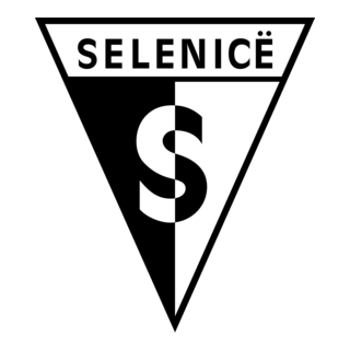 Selenice Logo PNG Vector