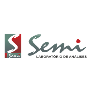 Semi Logo PNG Vector
