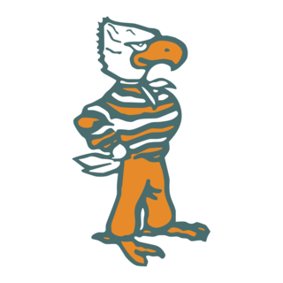 Seminole High School Warhawks Logo PNG Vector