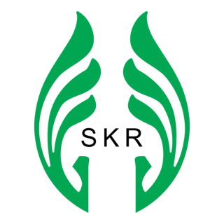 SKR Logo PNG Vector