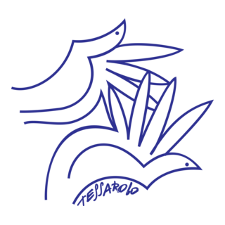 Socorro Nacional Cruz Roja Colombiana Logo PNG Vector