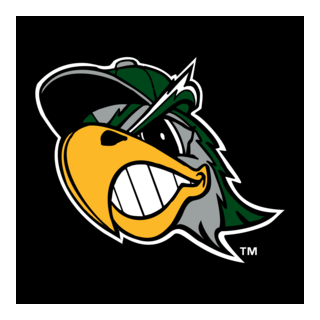 South Bend Silver Hawks Logo PNG Vector