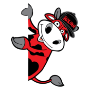 Rotronic Logo PNG Vector