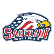 Saginaw Spirit Logo PNG Vector