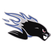 saint john seadogs Logo PNG Vector
