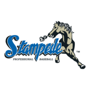 San Bernardino Stampede Logo PNG Vector