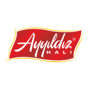 SARAYLIZADE AYYILDIZ Logo PNG Vector