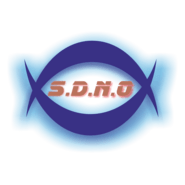 SDNO Logo PNG Vector