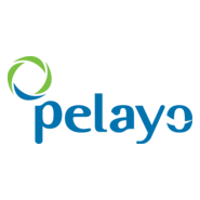 Seguros Pelayo Logo PNG Vector