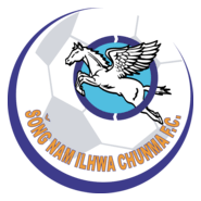 Seongnam Ilhwa Chunma FC Logo PNG Vector