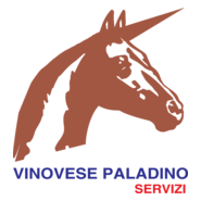 servizi di pulizia Logo PNG Vector