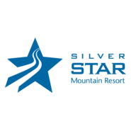Silver Star Logo PNG Vector