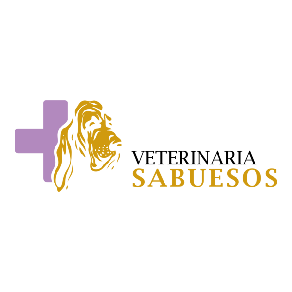 TARQUINO MOTOS Logo PNG Vector