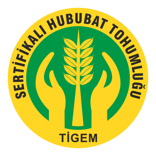 Tigem Logo PNG Vector