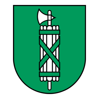 St.Gallen Logo PNG Vector