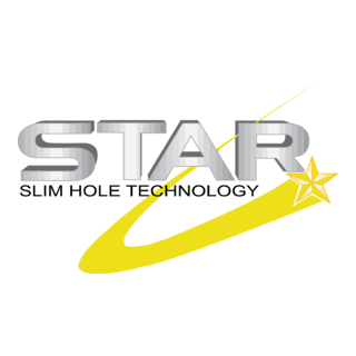 Star Logo PNG Vector