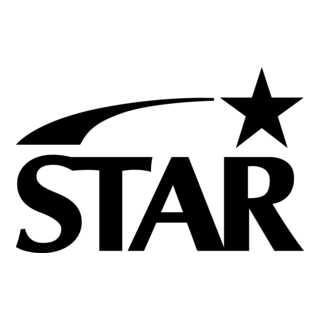 Star Logo PNG Vector