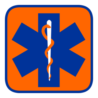 Star Of Life Orange Logo PNG Vector
