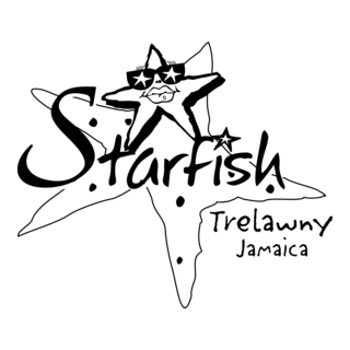 Starfish Logo PNG Vector