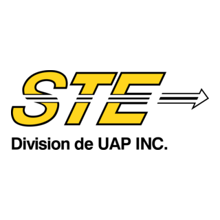 STE Logo PNG Vector