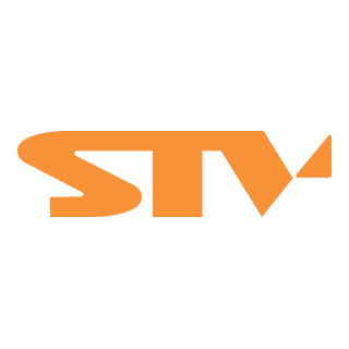 STV Slovenska televizia Logo PNG Vector