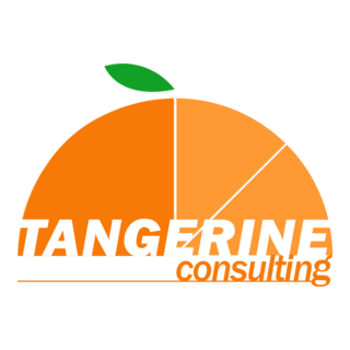 Tangerine Consulting Logo PNG Vector