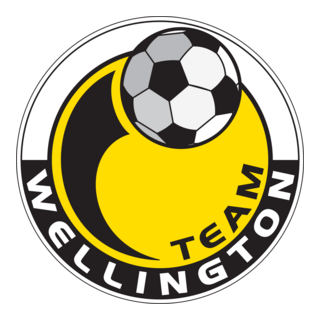 Team Wellington Logo PNG Vector