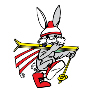 The Night Race Schladming Mascot Logo PNG Vector