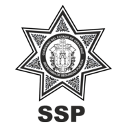 SSP VERACRUZ Logo PNG Vector