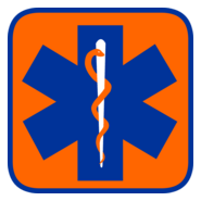 Star Of Life Orange Logo PNG Vector