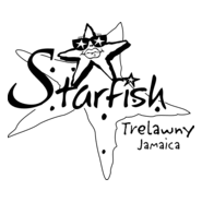 Starfish Logo PNG Vector