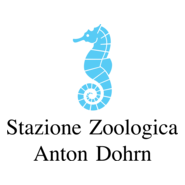 Stazione Zoologica A. Dohrn Logo PNG Vector