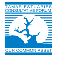 Tamar Estuaries Forum Logo PNG Vector