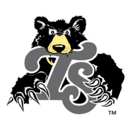 Tennessee Smokies Logo PNG Vector