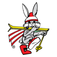 The Night Race Schladming Mascot Logo PNG Vector