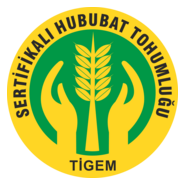 Tigem Logo PNG Vector