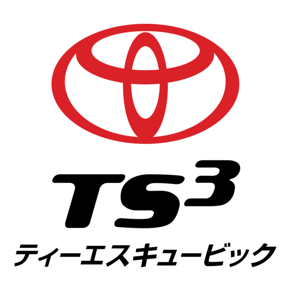 TS3 Card Logo PNG Vector