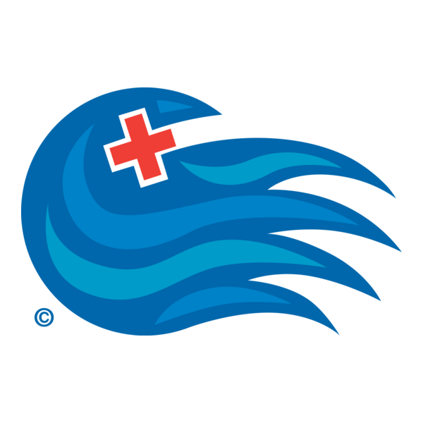 Tsunami Relief Fund Logo PNG Vector