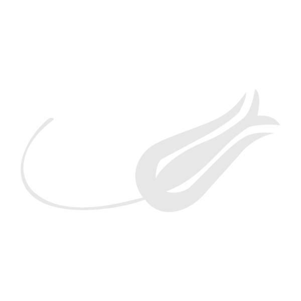 Turk Hava Yollari - THY - Lale Motifi Logo PNG Vector