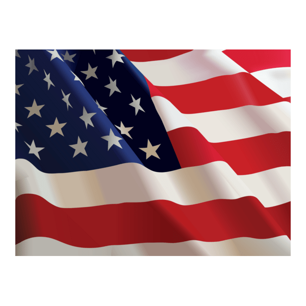 US Flag Logo PNG Vector