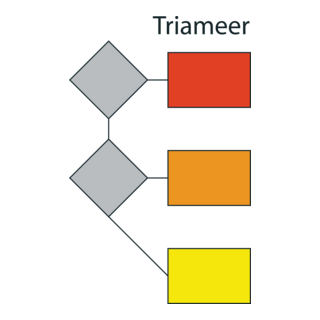 Triameer Logo PNG Vector