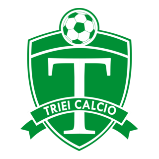 TRIEI CALCIO Logo PNG Vector