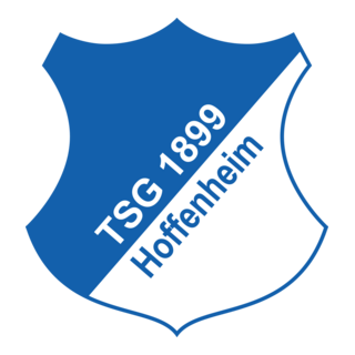TSG 1899 Hoffenheim Logo PNG Vector