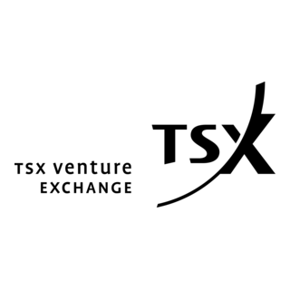 TSX Venture Exchange Logo PNG Vector